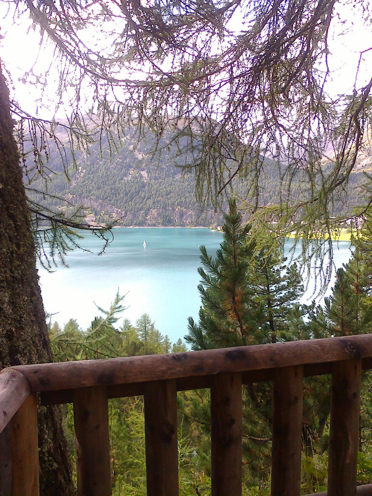 Sammeln im Engadin September 2022