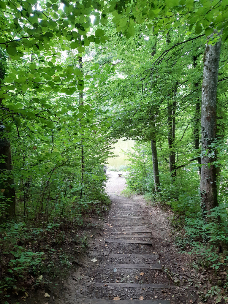 Stärkung für die neue, lichtvolle Zeit