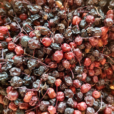 Holunderbeeren Sambucus nigra 30 ml
