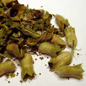 Bilsenkraut 30 ml