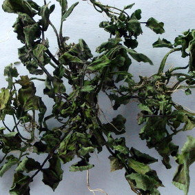 Bachbunge 60ml