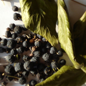 Efeubeeren 30 ml