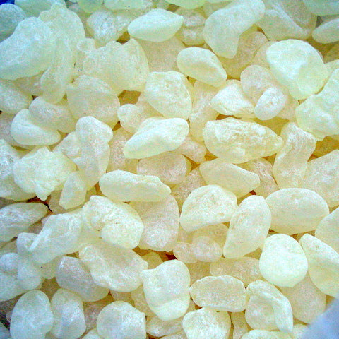 Mastix Insel Chios 10g