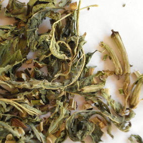 Stechapfelkraut 30 ml