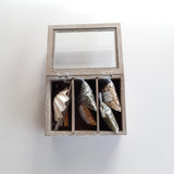 Holzkästchen mit Glasdeckel Nr. 209