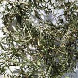 Estragon, 60 ml