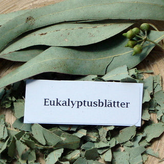 Eukalyptusblätter 60 ml