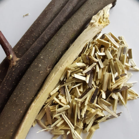 Gelbwurz Holz, Xanthorhiza simplicissima, 60 ml