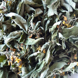 Gilbweiderich, Lysimachia vulgaris, 60 ml