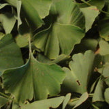 Ginkoblätter 60 ml