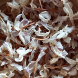 Jasmin, Jasminum nudiflorum, Blüten, 30 ml