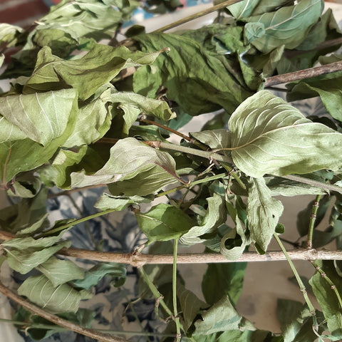 Kornelkirsche Blätter 60 ml