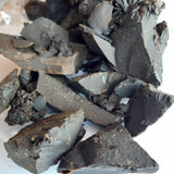 Labdanum Cistus ladanifer, 10g