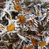 Margeritenblüten 30 ml