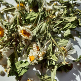 Margeritenblüten 30 ml