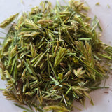 Ruchgras, Anthoxanthum odoratum, 30 ml