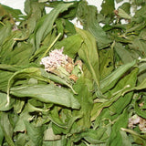 Seifenkraut, Saponaria officinalis  60 ml