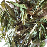 Seifenkraut, Saponaria officinalis  60 ml