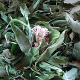 Seifenkraut, Saponaria officinalis  60 ml