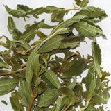 Zistrosenblätter 60 ml