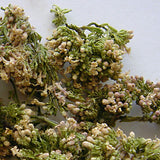 Baldrianblüten 30 ml