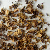 Farnwurzel 30 ml