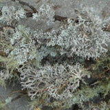 Flechten 60 ml