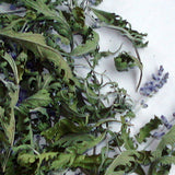 Blauraute 60 ml