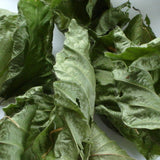 Buchenblätter 60 ml