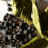 Efeubeeren 30 ml