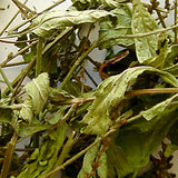 Eisenkraut 60 ml