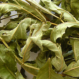 Eschenblätter 60 ml