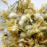 Feenblume 30 ml