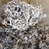 Flechten 60 ml