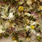 Gänseblümchen 30 ml