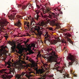 Rosskastanienblüten 30 ml