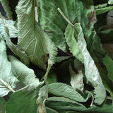 Klettenblätter 60 ml