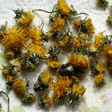 Löwenzahnblüten 30 ml