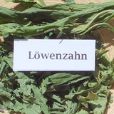 Löwenzahnblätter 60ml