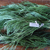 Mammutbaumspitzen ca. 60g