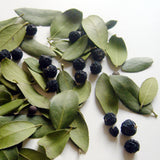 Myrte, Myrtus communis 30 ml