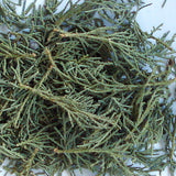 Sadebaumspitzen 60 ml