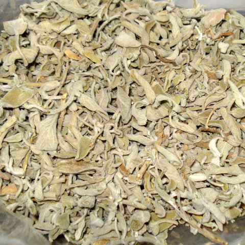 Salbei, Arabischer Bergsalbei 60 ml