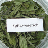 Spitzwegerich 60 ml