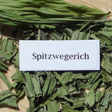 Spitzwegerich 60 ml