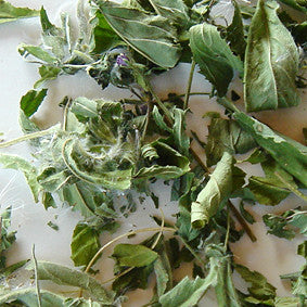 Weidenröschen 60 ml