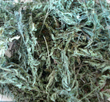Wiesenkerbel 60 ml