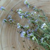 Wiesenschaumkraut 60 ml