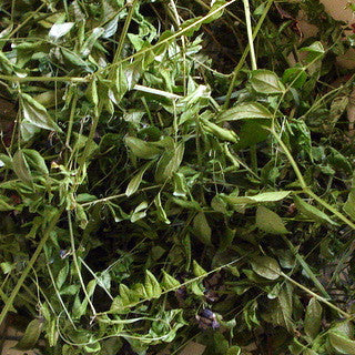 Zaunwicke 60 ml